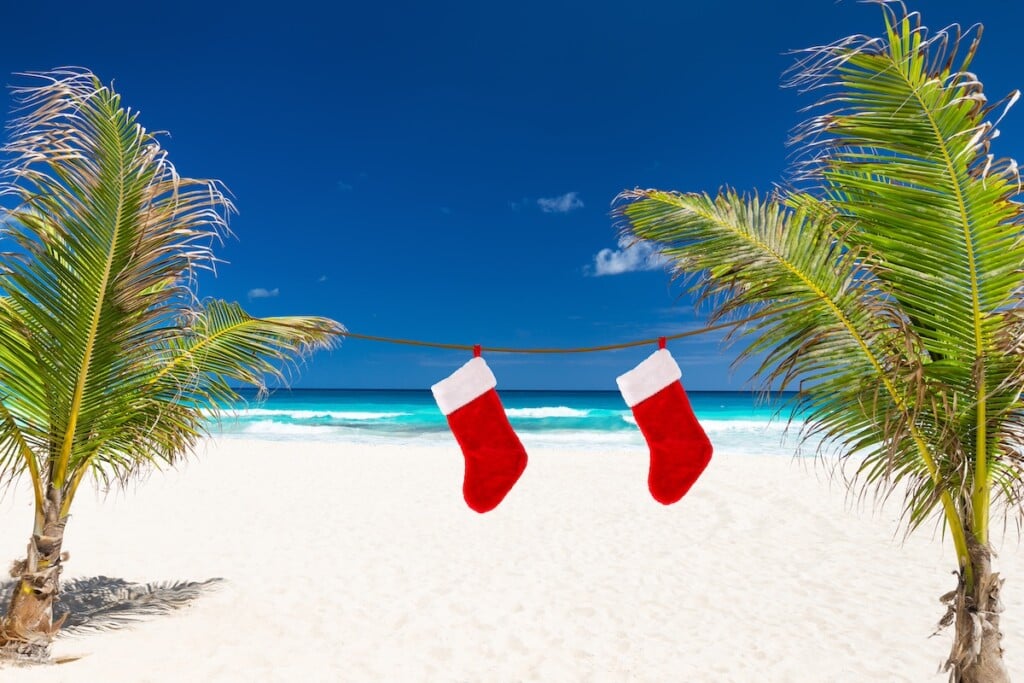 Christmas Stocking Hanging On Coconut Palm Tree Leaf