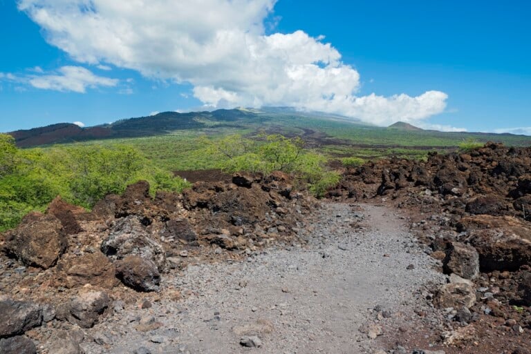 The Most Popular Trails on Maui, According to Hikers - Hawaii Magazine