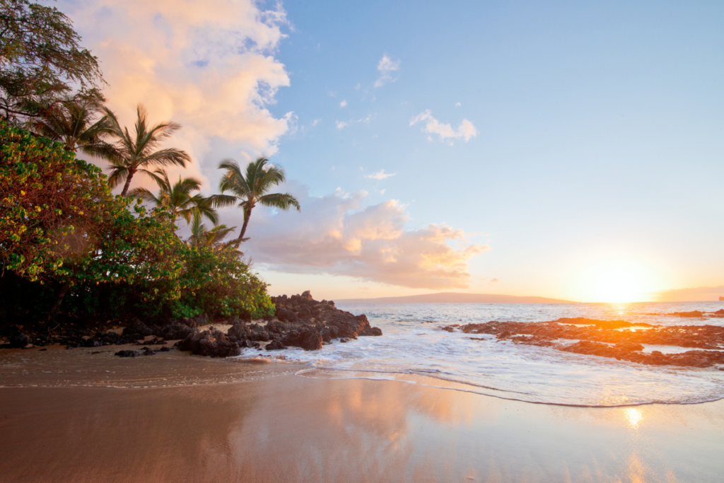 Summerhawaiigetty