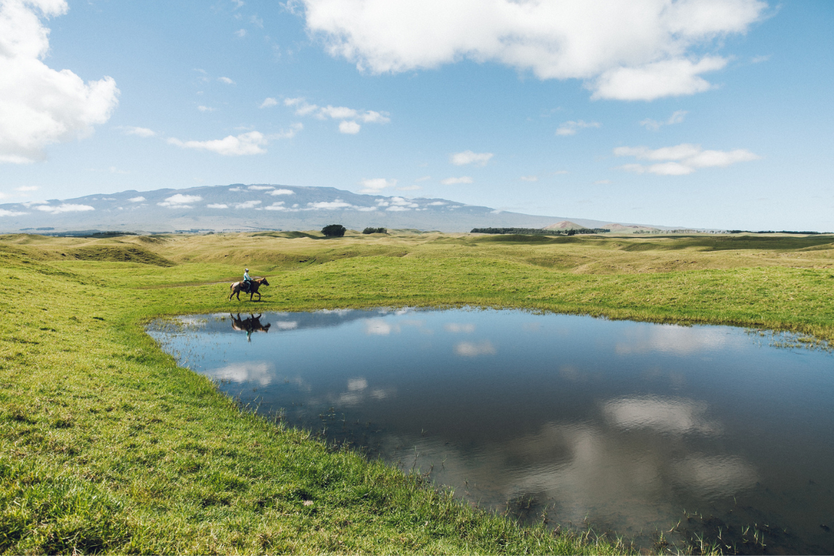 8 Reasons to Love Waimea on Hawaiʻi Island – Hawaii Magazine