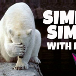 Hits Simple Simon Promo Reel