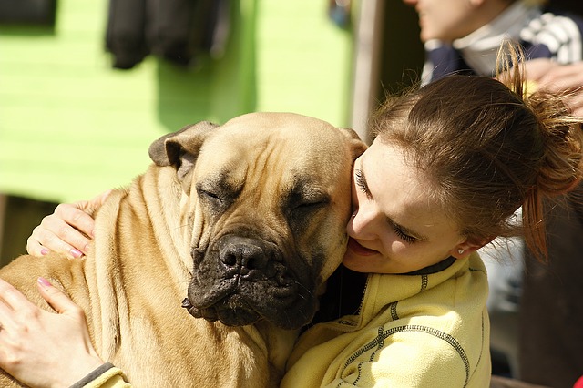 Dog Gaf40048ed 640