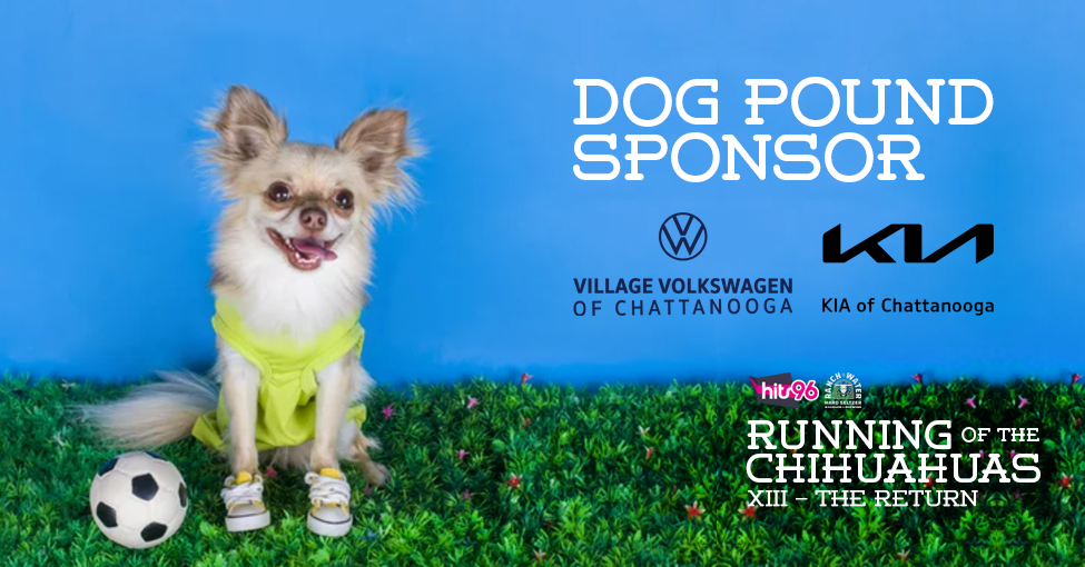 Hits Rotc 2022 Dog Pound Sponsor Promo Reel