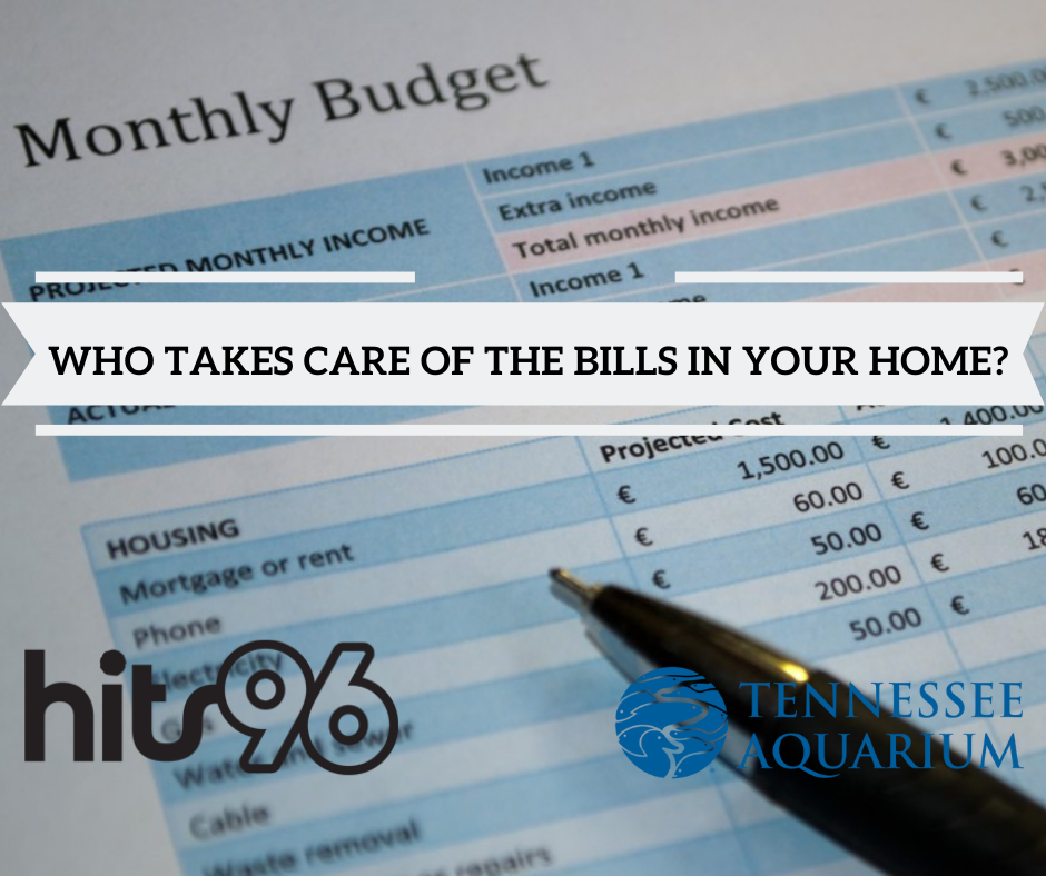 How Takes Care Of The Bills In Your Home 1