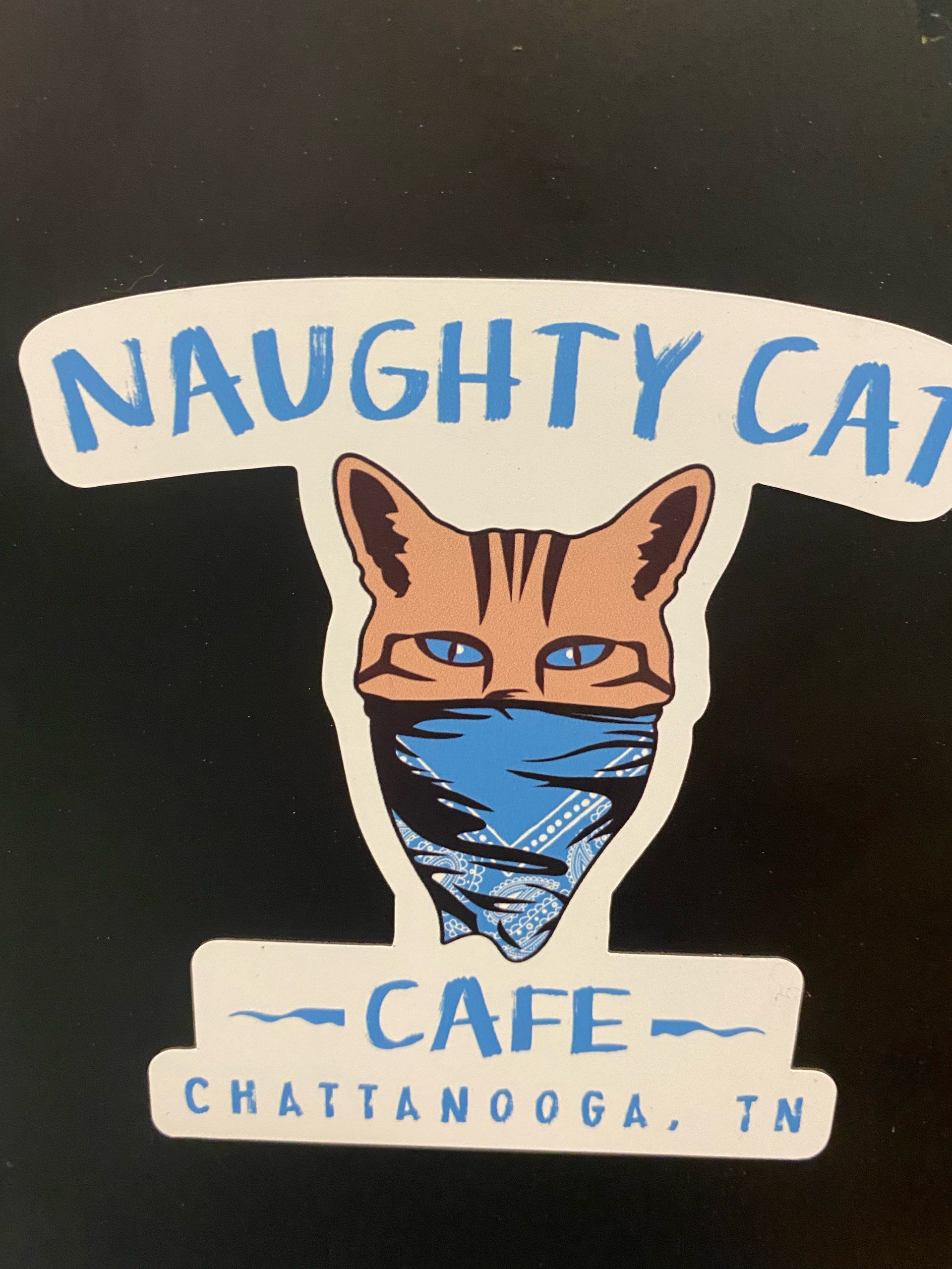 Naughty Cat Cafe Awarded 1st Ever Hits 96 Chattanooga Madness Champion