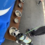 Img 0366