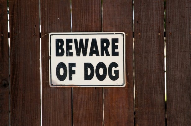 Beware Of Dog Sign On Brown Fence