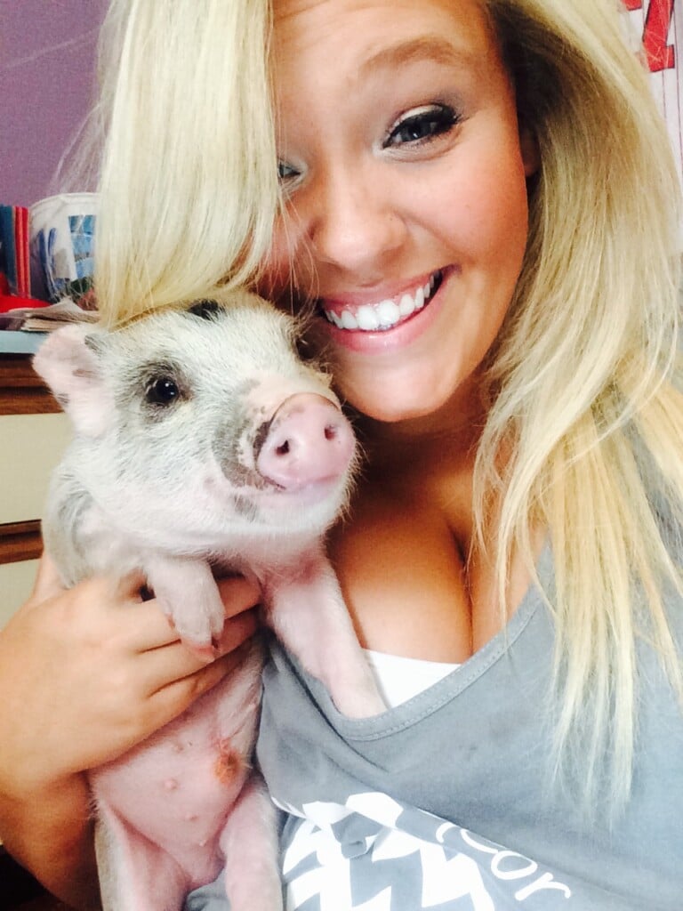 nat and a pig