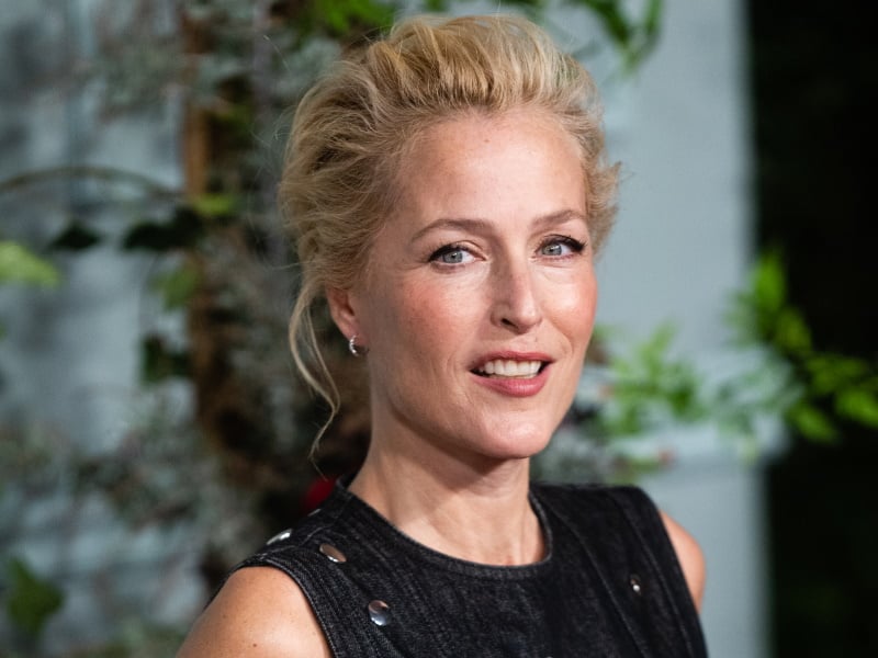 Gillian Anderson Wants You To Send Her Letters About Your Sex Life
