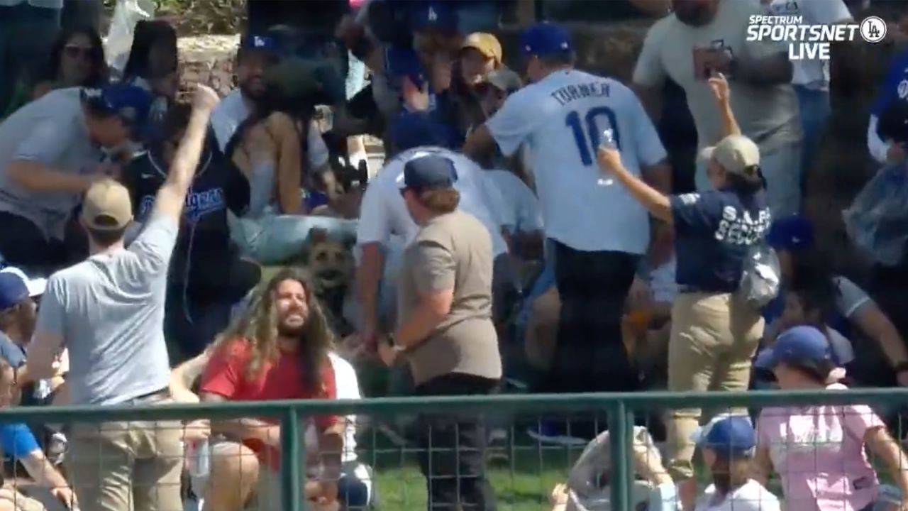 WATCH Dog Catches Home Run at a Spring Training Game Hits 96 WDODFM