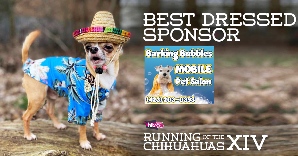 Barking Bubbles Mobile Pet Salon -  Chattanooga, TN