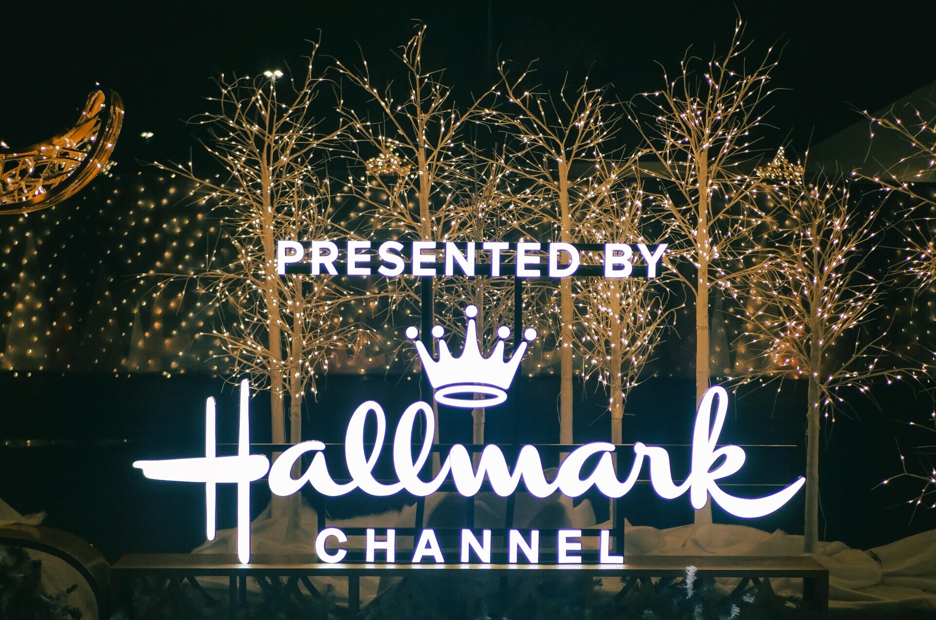 The Hallmark Channel Announced Their FirstEver Christmas Cruise Hits