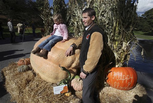 Massive Pumpkin