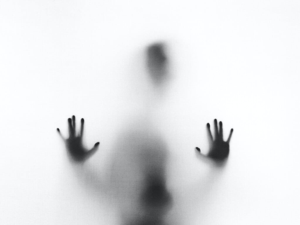 Stefano Pollio Zc0ebdlc8g0 Unsplash
