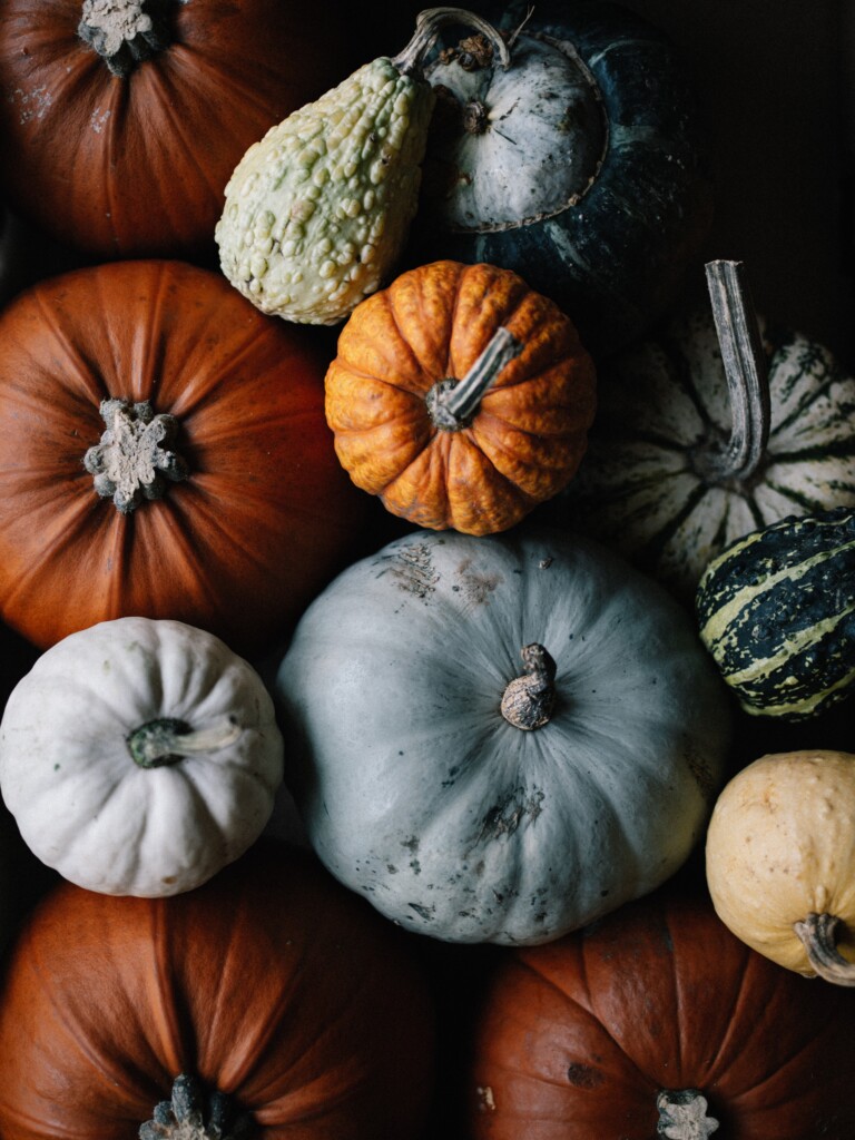 Annie Spratt Msucfp8mo90 Unsplash
