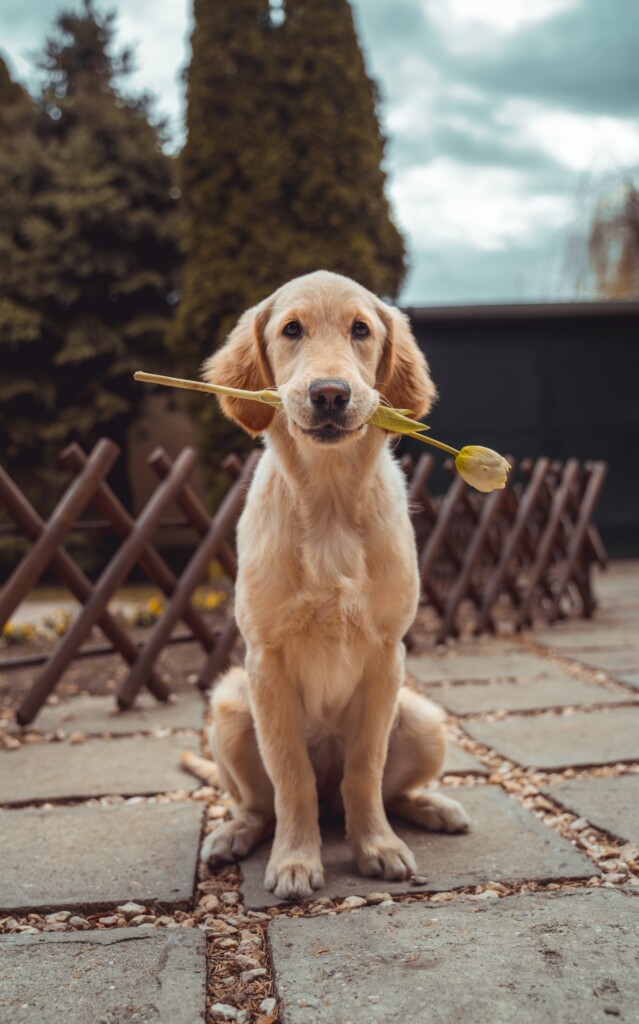 Richard Brutyo Sg3xwuepybu Unsplash