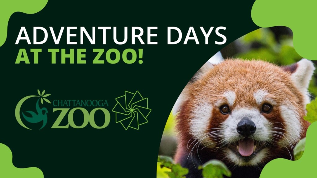Zoo