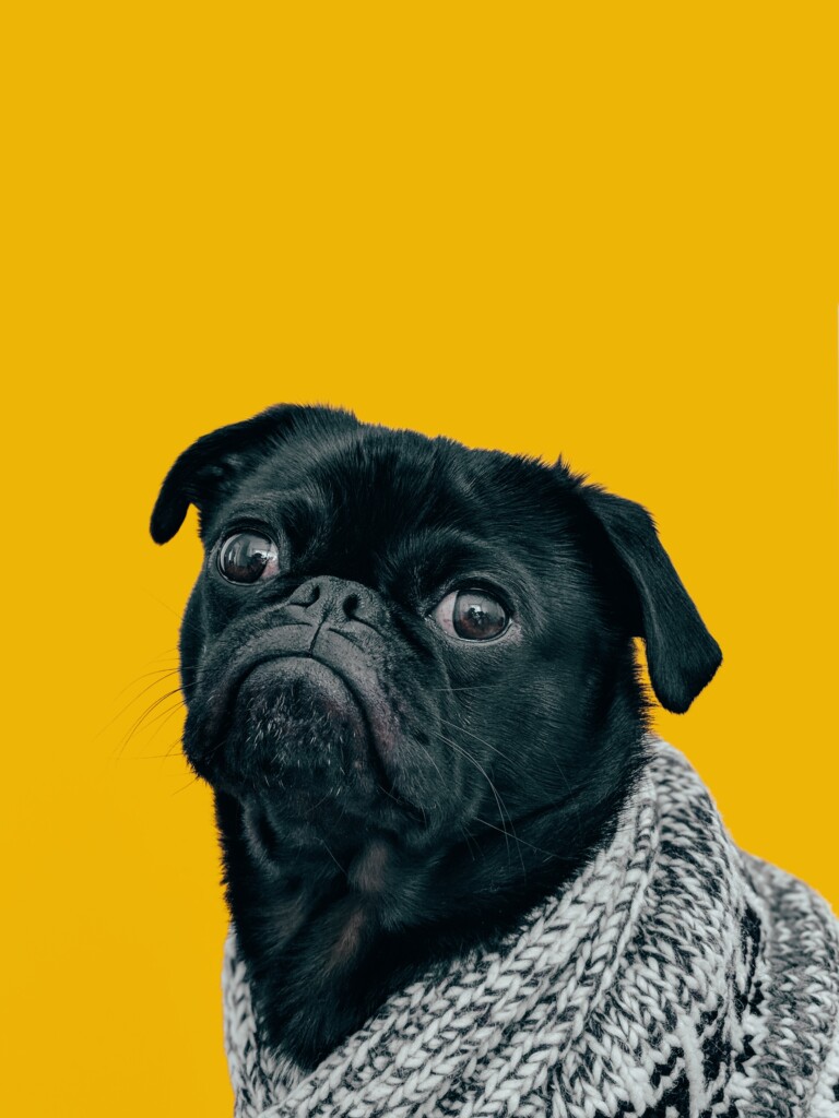 Charlesdeluvio Mv9hjneuhr4 Unsplash
