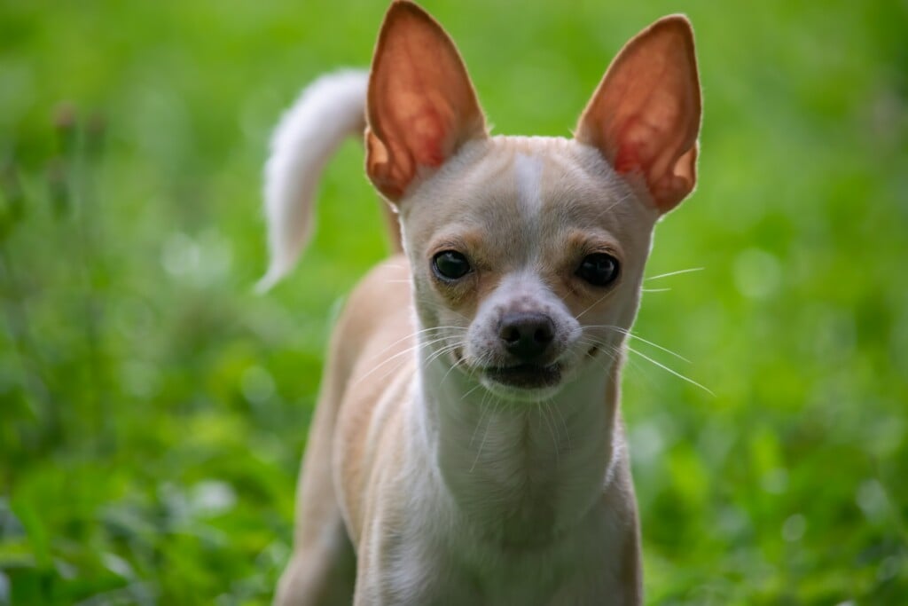 Jairo Alzate J4qoimytpma Unsplash