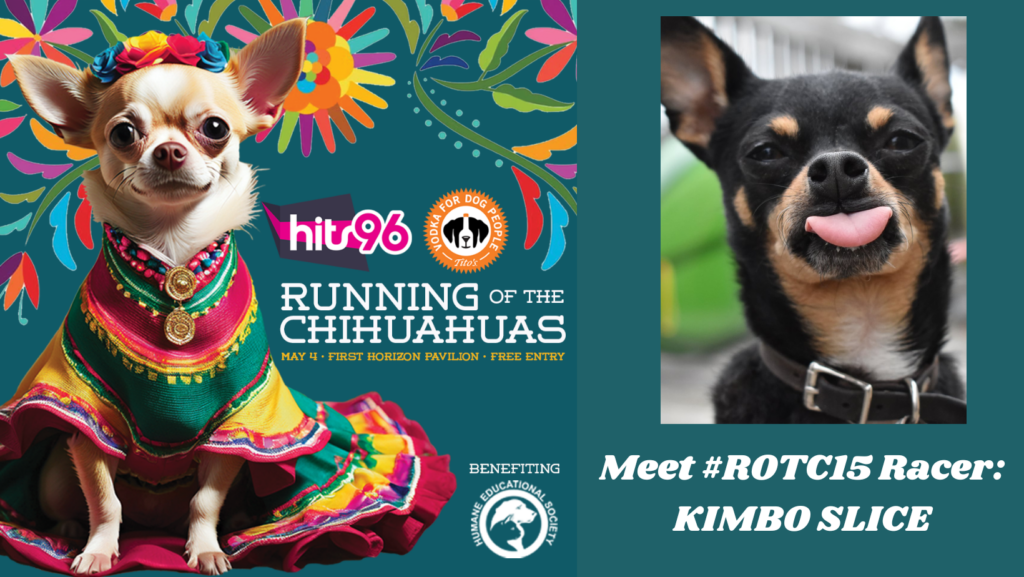 Kimbo Cover