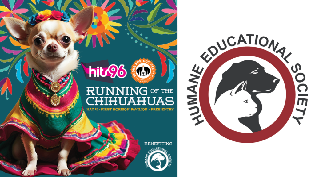 Hits 96 Running Of The Chihuahuas 15 Performers Visit Humane Educational Society