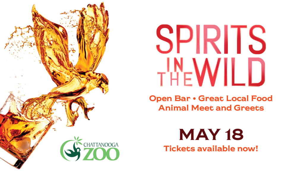Spirits In The Wild Sunny 923 Website Ad