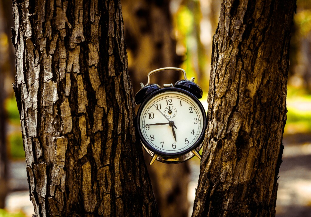 Yaniv Knobel 2yws62tlata Unsplash