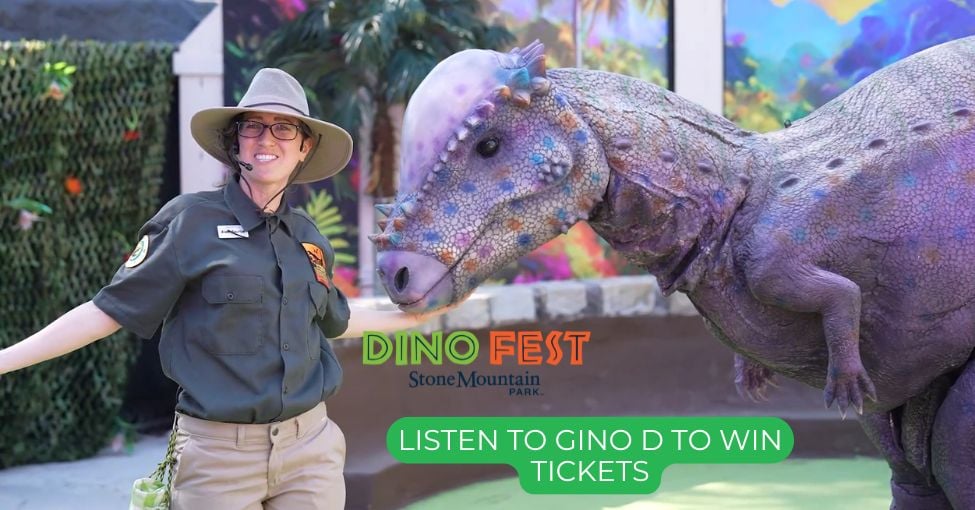 Dino Fest