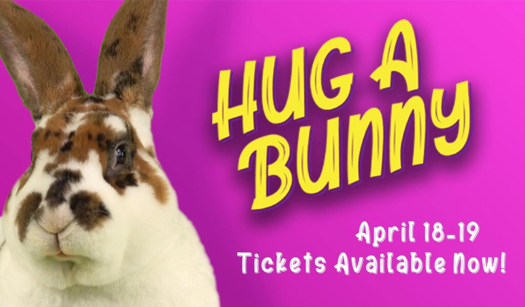 Hugabunny