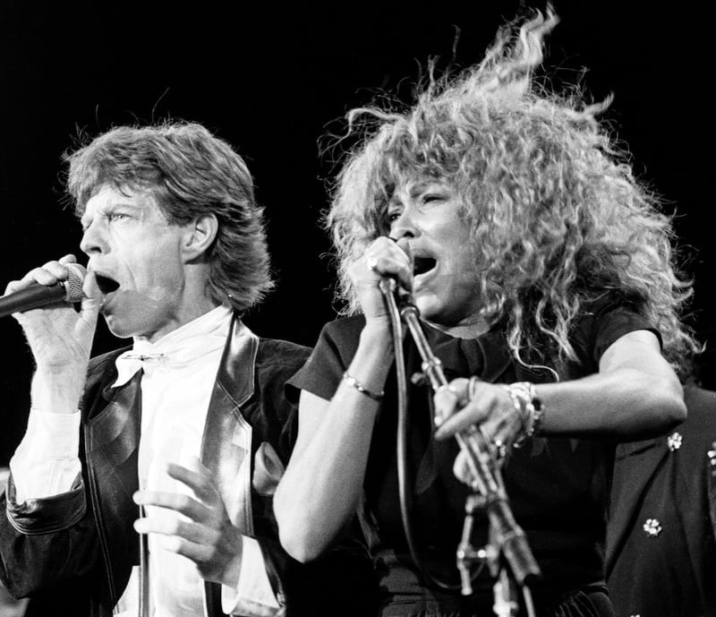 Tina Turner Fans Criticize New Statue Erected In Tennessee To Honor Late Singer