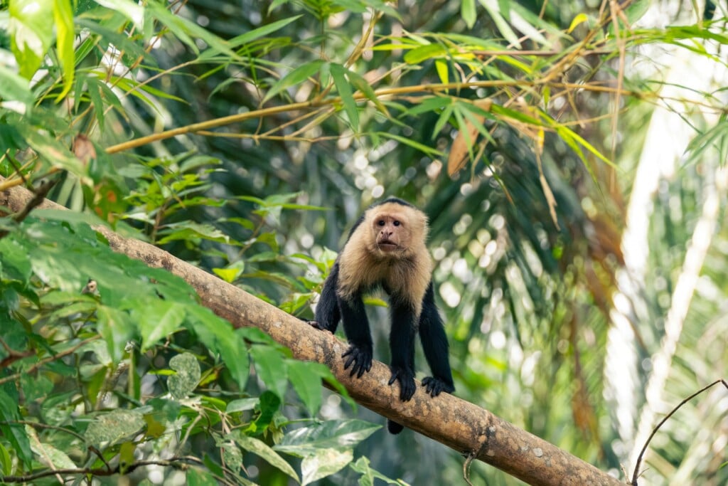 Simon Schwyter Ptyd7xlpfi8 Unsplash