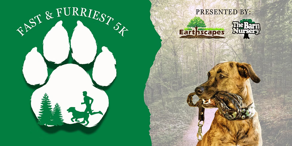 Fast Furriest Picture Banner 2 3