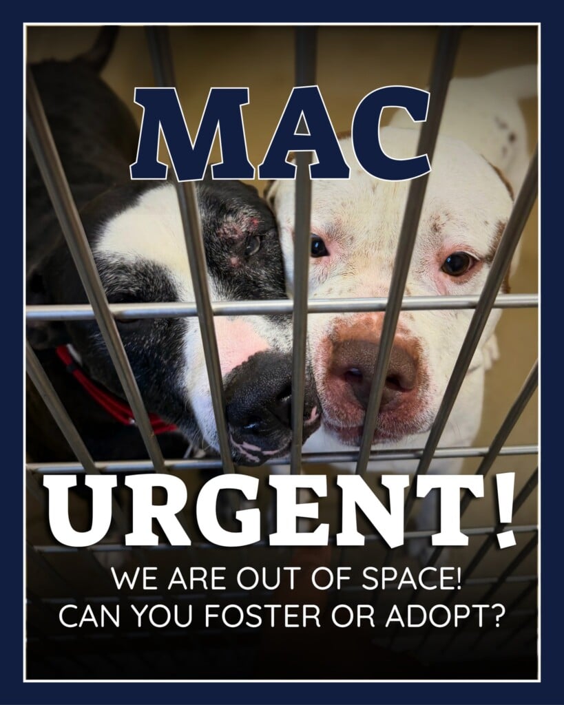 Mac Urgent