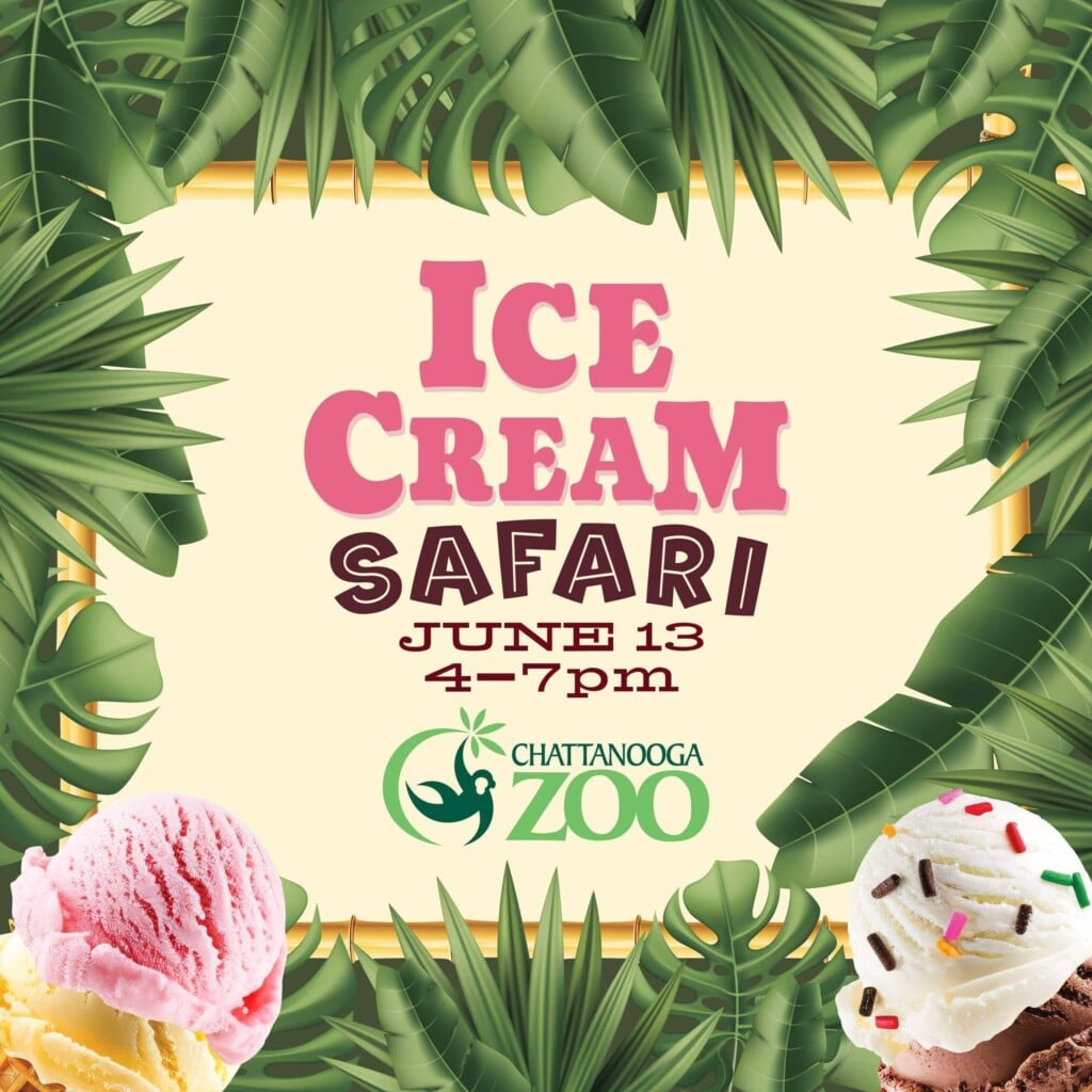 Ice Cream Zoo