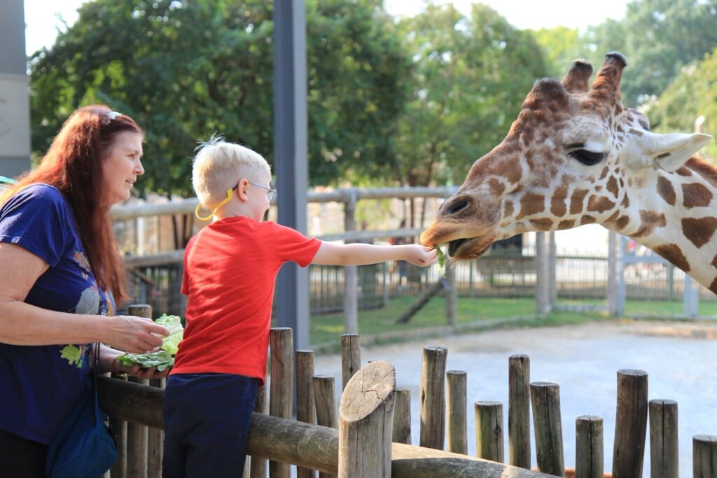 Zooschool