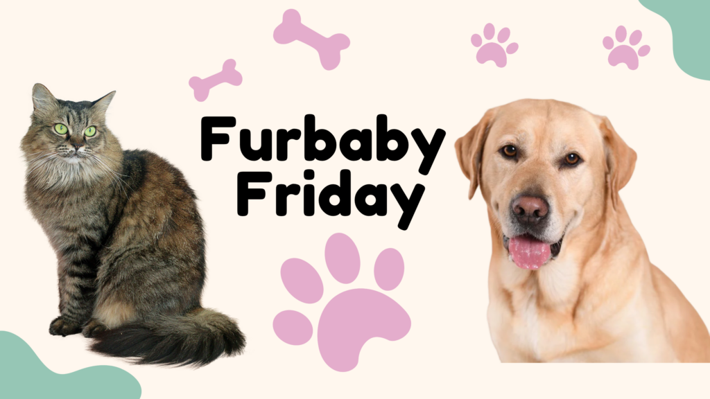 Furbaby Friday