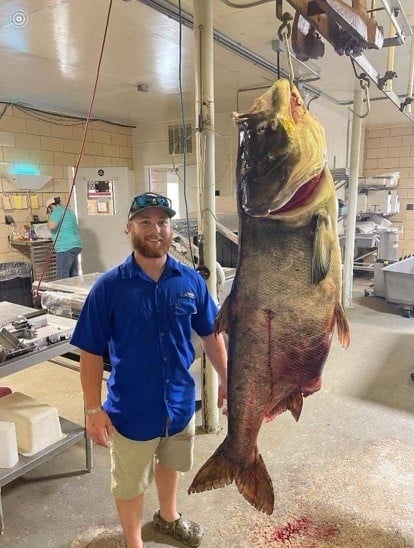 Perryville man shoots state record bighead carp - KBSI Fox 23 Cape  Girardeau News