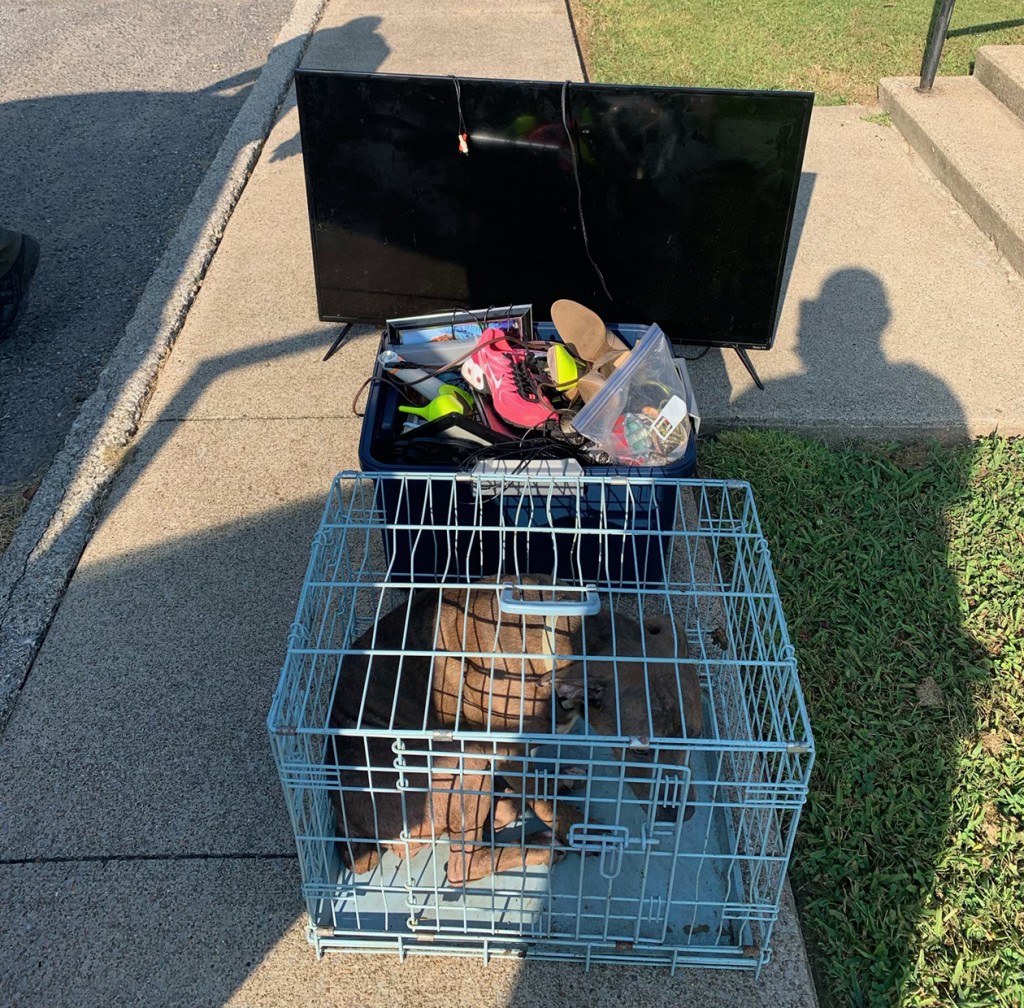 (Source: Graves Co. Sheriff's Office)