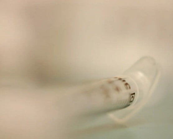 measles vaccine