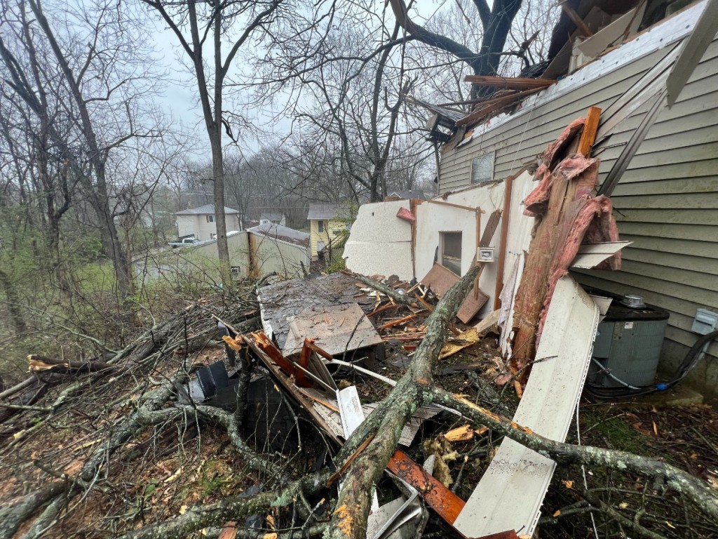 Cape Girardeau fallen tree