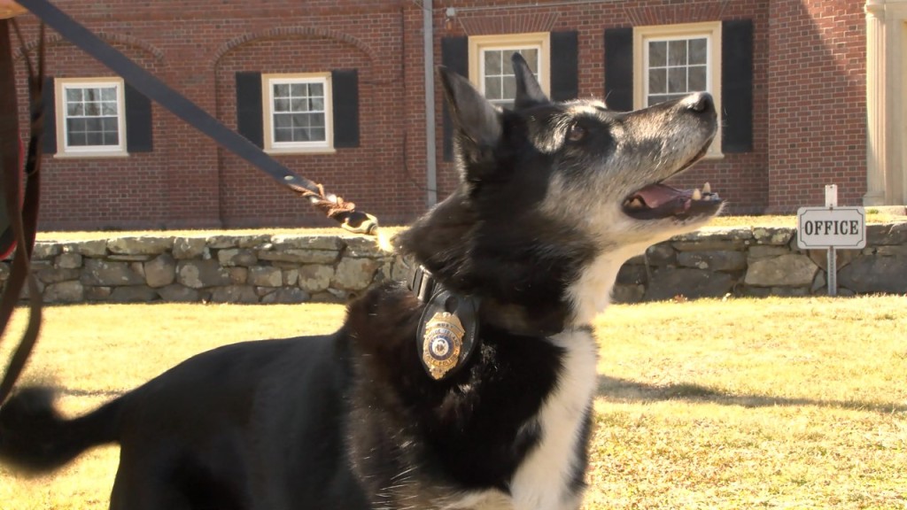 ‘rescued By Ruby’: Netflix Movie Tells Story Of Shelter Dog Turned State Police K 9