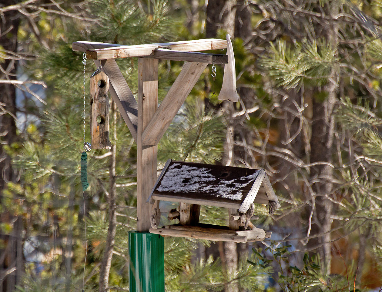 IDNR removing bird feeders, baths to curb avian influenza