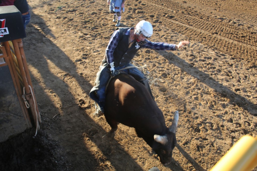 In this Oct. 16, 2021, photo, Three Rivers College’s Casey Roberts competes in bull riding at the Three Rivers College Rodeo in Sikeston, Mo. (Source: Three Rivers College)