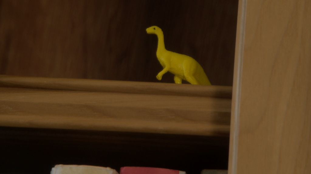 Bollinger County Great Dinosaur Hunt