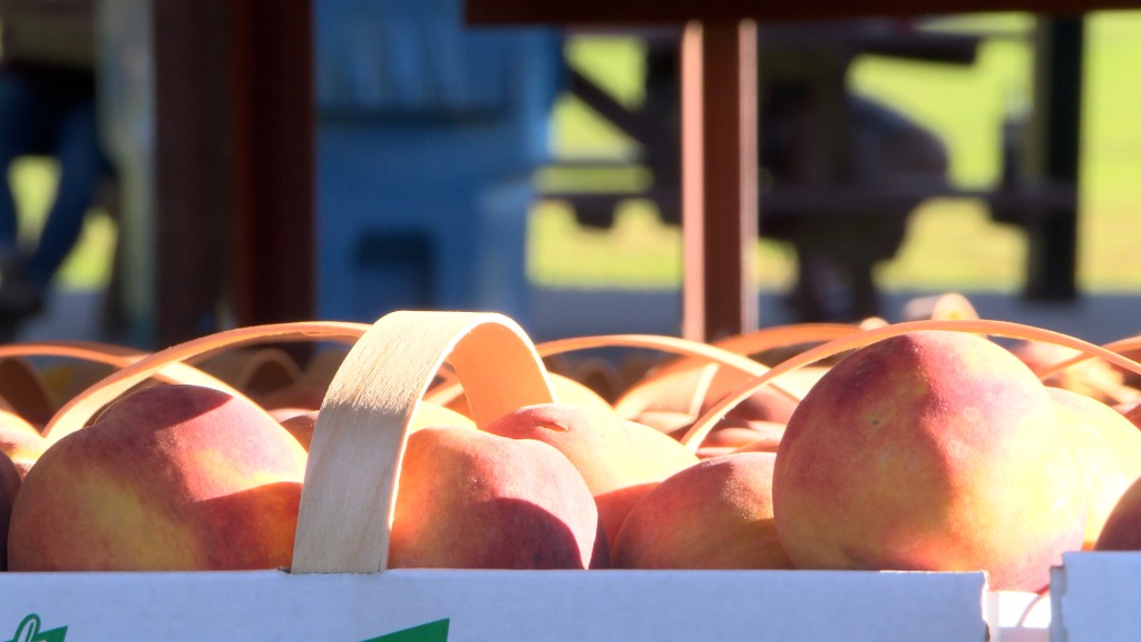 Cobden Peach Festival