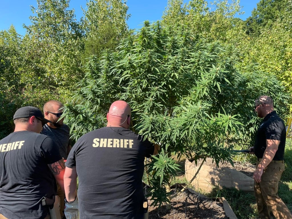 (Source: Graves County Sheriff's Office)