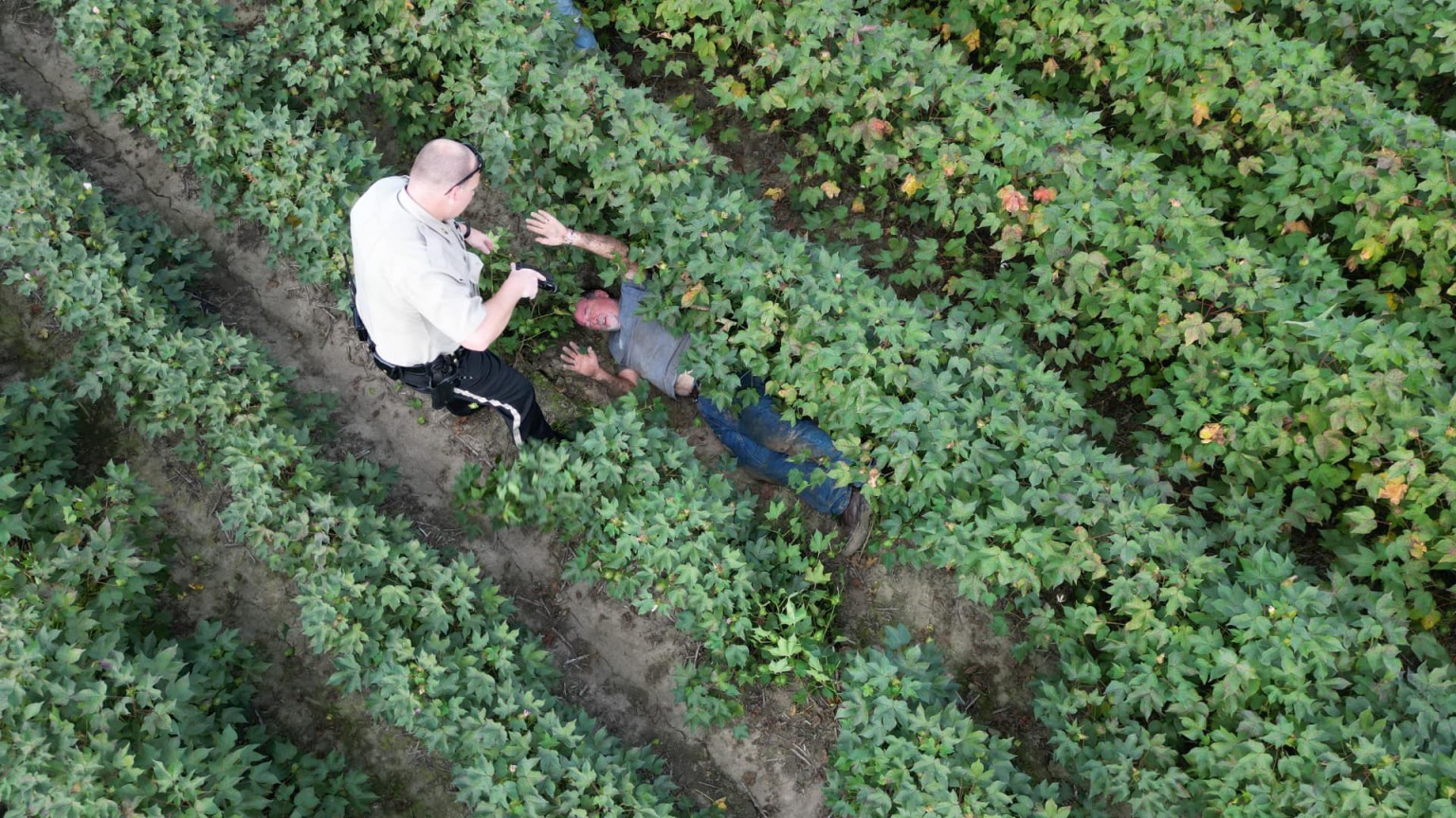 Wanted man arrested in field near Gideon after police chase KBSI Fox