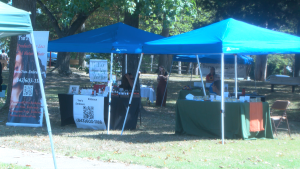 Local Carbondale Organization Holds Fall Fest
