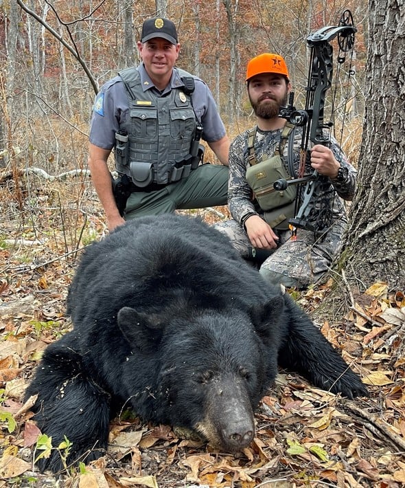 Chase Boggs of Bolivar harvested this sow bear with his bow on private land in Douglas County on Oct. 24. MDC data on the bear showed she was 7 years of age. Shown with Boggs is Douglas County Conservation Agent Mark Henry. (Source: MDC)