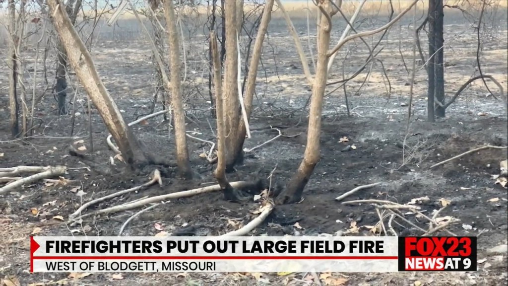 Large Field Fire West Of Blodgett, Mo